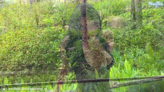 Секс в позе раком: Сиси получила удовольствие, а я насладился видом