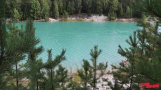 Девушка в раком у дерева – эксклюзивный контент