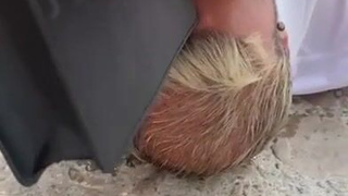 Шокирующий публичный триллер: она сделала это при всех!