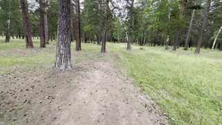 Секс в лесу с пышногрудой красоткой: дикий разврат на природе