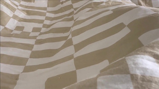 Секретная страсть: горячий секс, о котором никто не узнает