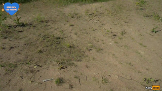 Жена предлагает тройничок – кто откажется?