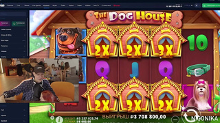 За кулисами стримов Мелстроя: реальные страсти и откровения