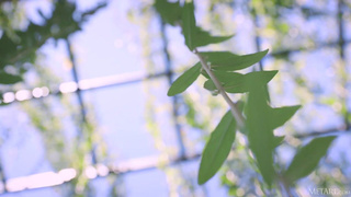 Danica Jewels зажигает в "Miss You" – 720p страсти без границ