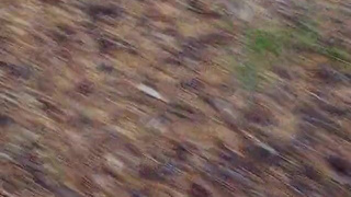 Дикий секс на природе: как я отдалась Генадию под шепот листвы